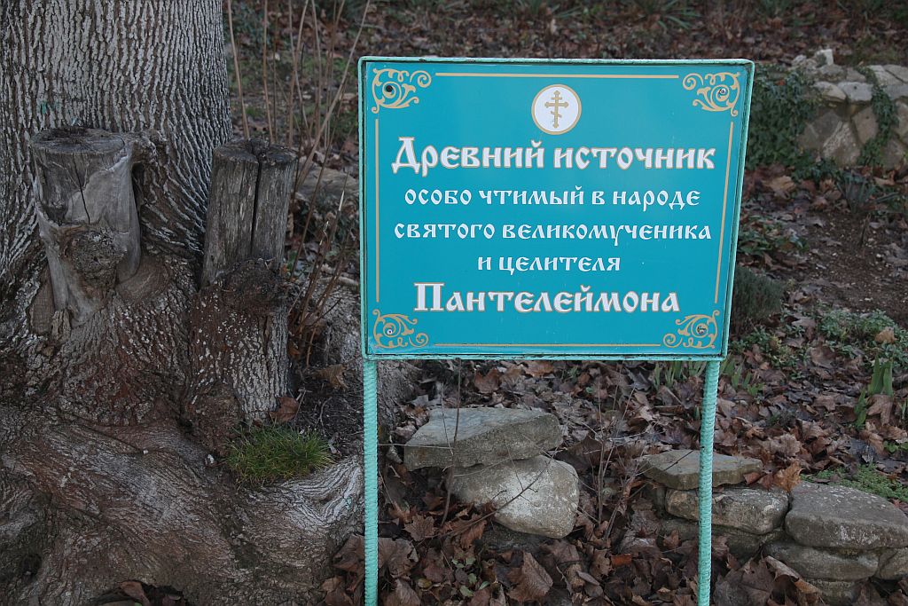https://i.postimg.cc/Pr4fs2G1/IMG-0580.jpg