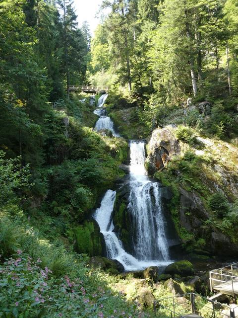 ALSACIA, LAGO CONSTANZA Y SELVA NEGRA - Agosto 2017 - Blogs de Europa Central - Día 9- Rodelbahn de Gutach, Triberg y Lago Titisee (8)