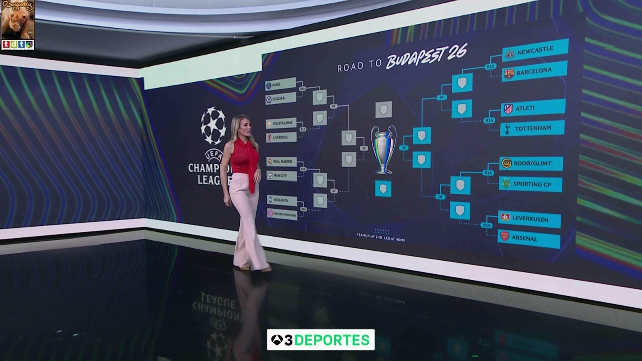 angierojotetones A3 oso56 (11)