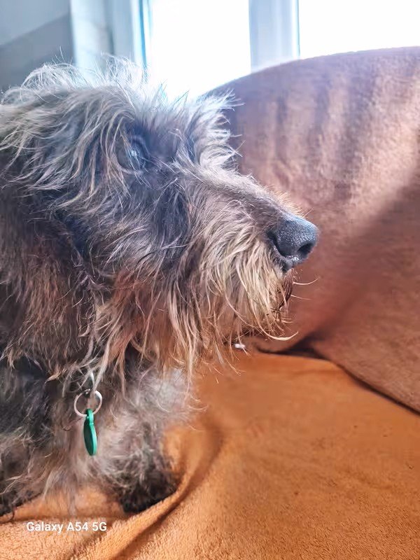 [Image: 20240930-113455.jpg]