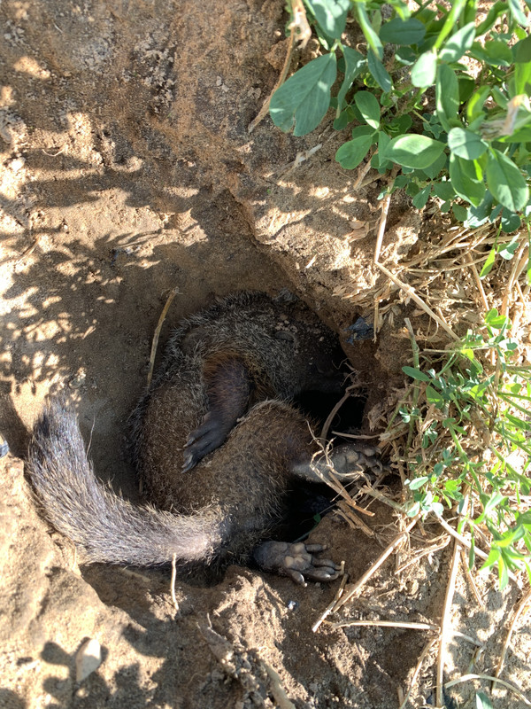 88C02266-6125-4F38-8FBF-9F870D8C6BE6