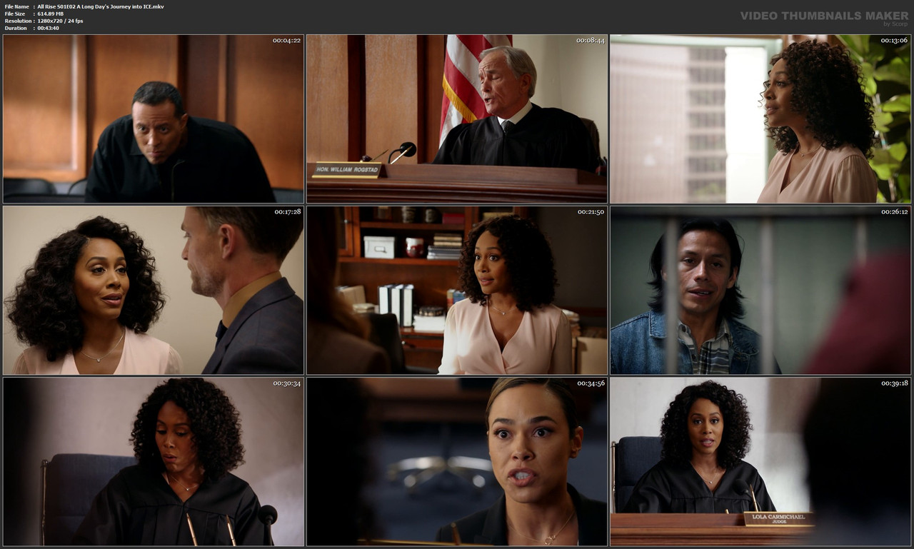 All Rise S01E02 A Long Day's Journey into ICE.mkv