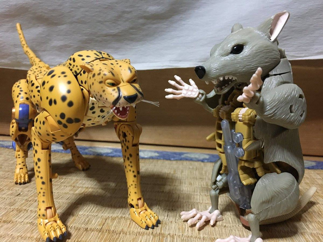 16819416_413135422370224_3341282952569899733_o