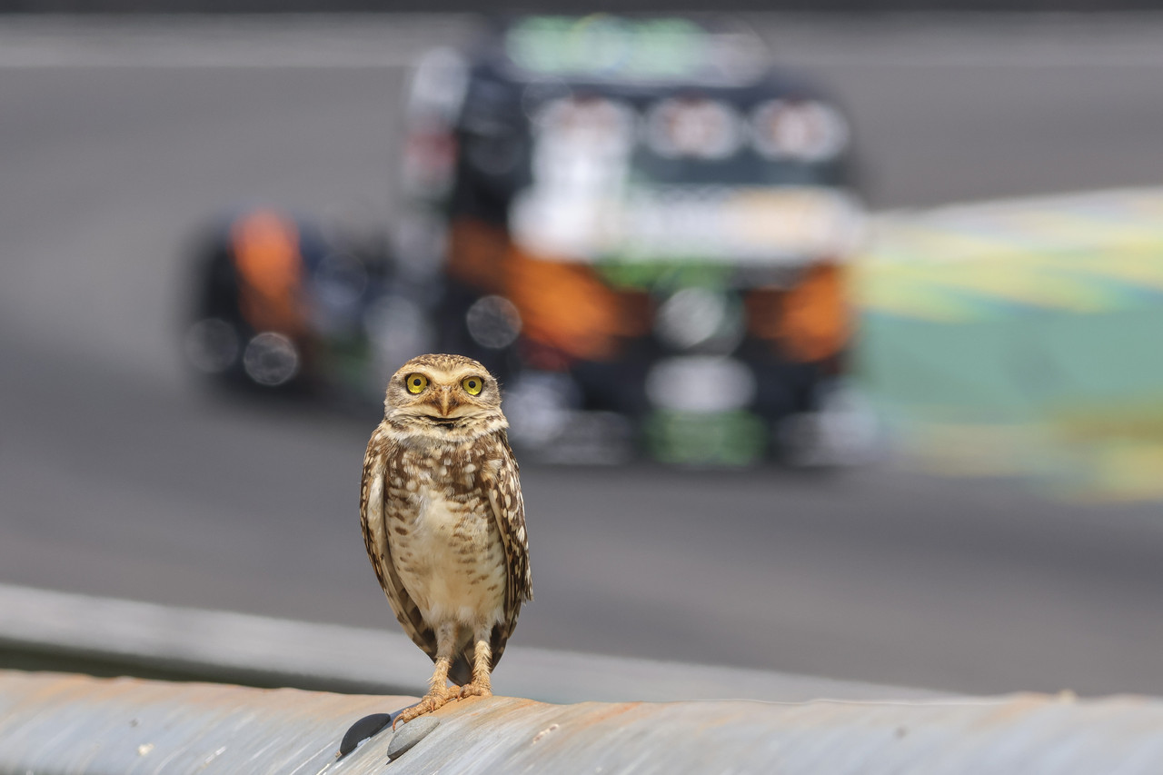 Interlagos bastidores 07985
