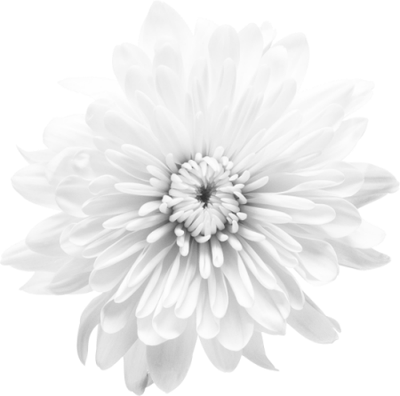 Kit_Just_Bee_In_ME (12)
