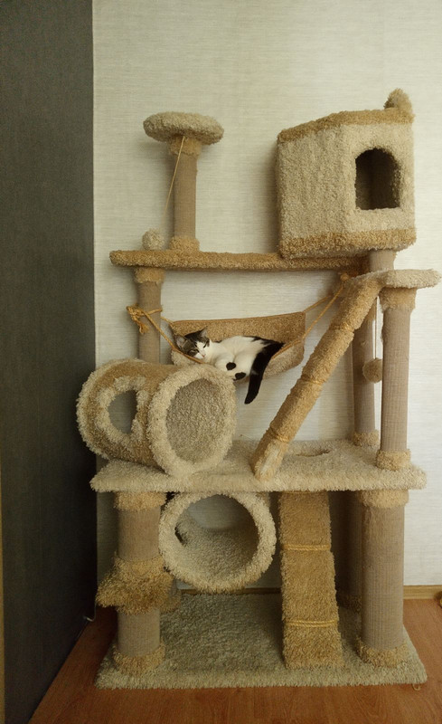 изображение_viber_2021-06-01_20-47-09-878