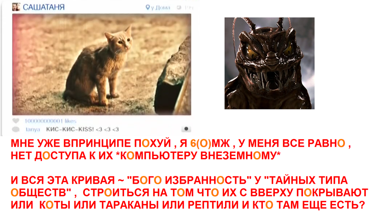 https://i.postimg.cc/Pr5pTGtd/547.png