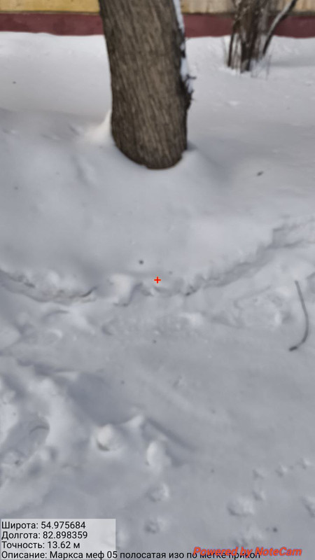 photo 5 2026 01 27 14 08 10