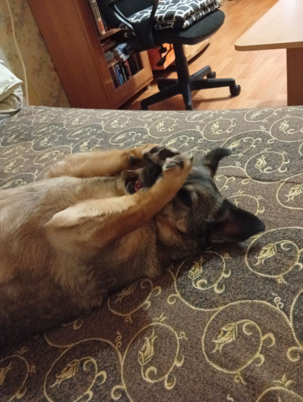 IMG 8884a9988edaacd5c4b782f04a2ca119 V