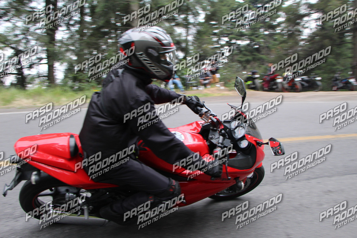 IMG 0014 wm 4269439 600000001 watermarked — Postimages