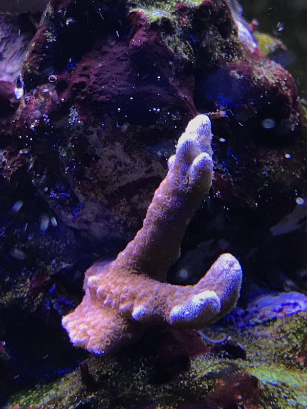 0A89CB9B-1F47-46E3-BD7E-19DB167FD8EA