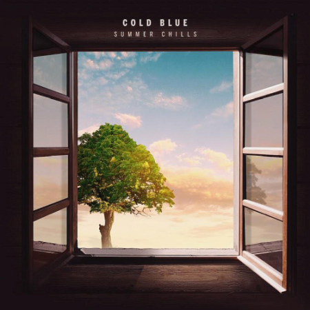 VA - Cold Blue - Summer Chills (2020)