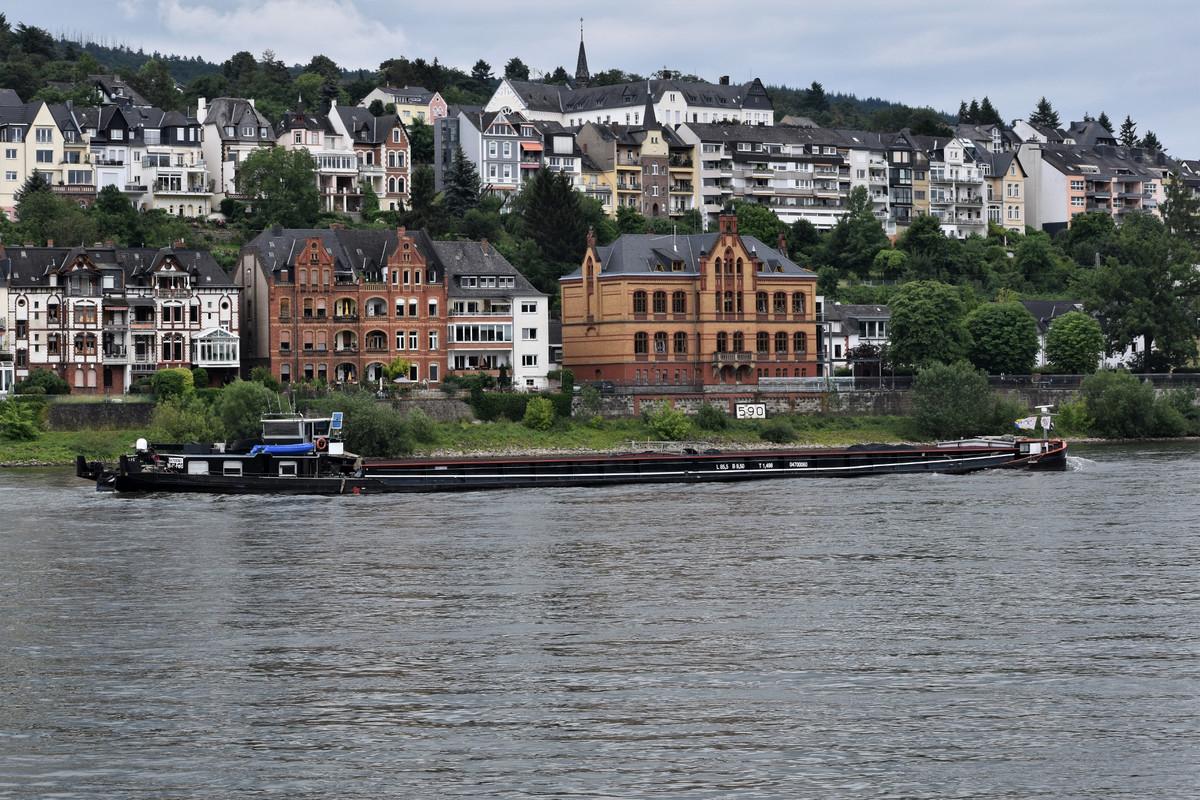 2022.06.27a4b Schiff Harley (1940x1293)