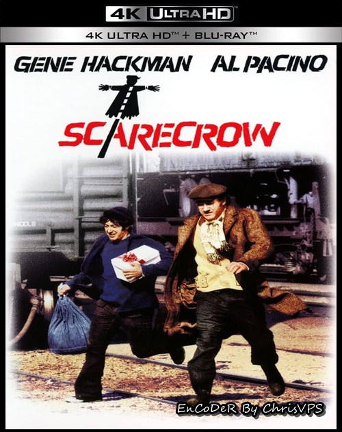 Strach na wróble / Scarecrow (1973) MULTI.HDR.2160p.BluRay.DTS.HD.MA.AC3-ChrisVPS / LEKTOR i NAPISY