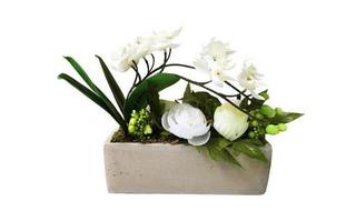 composition-rectangulaire-mini-orchidee-blanche-2.jpg