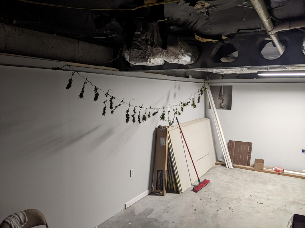 PXL-20240920-232803394.jpg