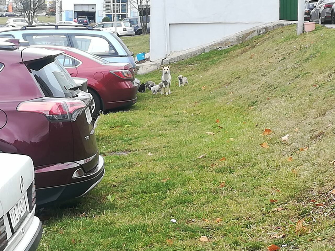 IMG_0355-27-10-18-02-44