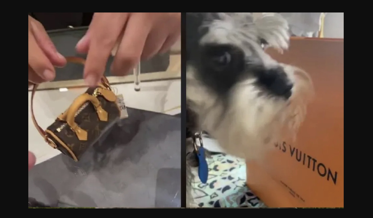 Bolsa de Louis Vuitton para recoger heces de perro de viraliza en Tiktok