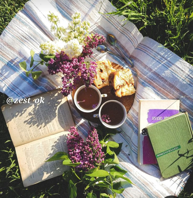 Screenshot_20230225_013059_Pinterest