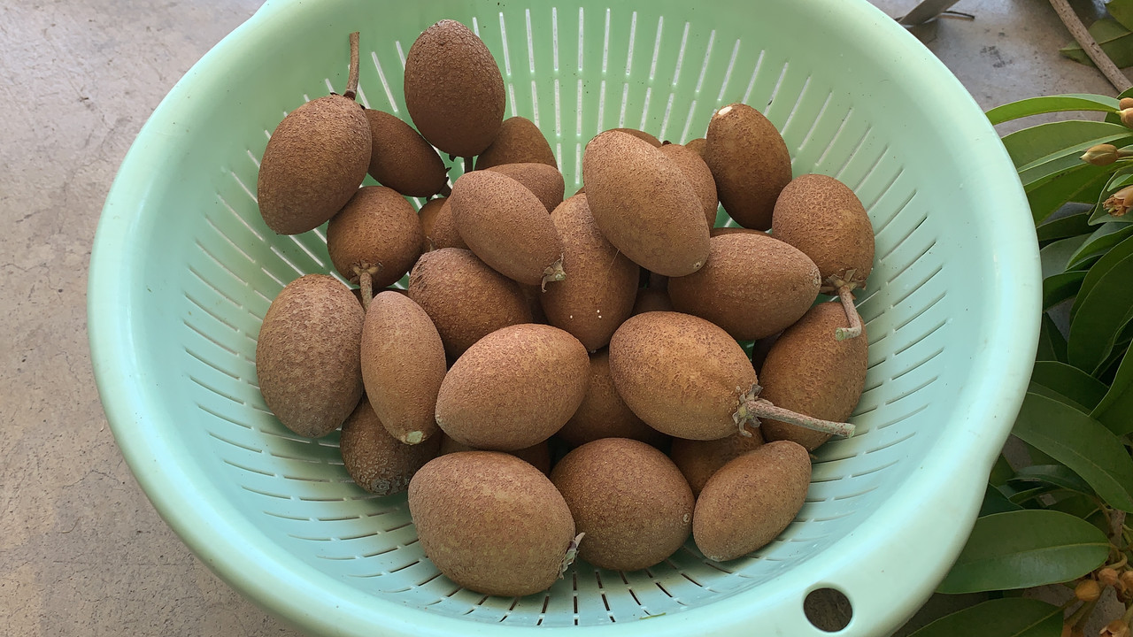 ADC04CD0-3480-4BAE-8460-BA61B0561765