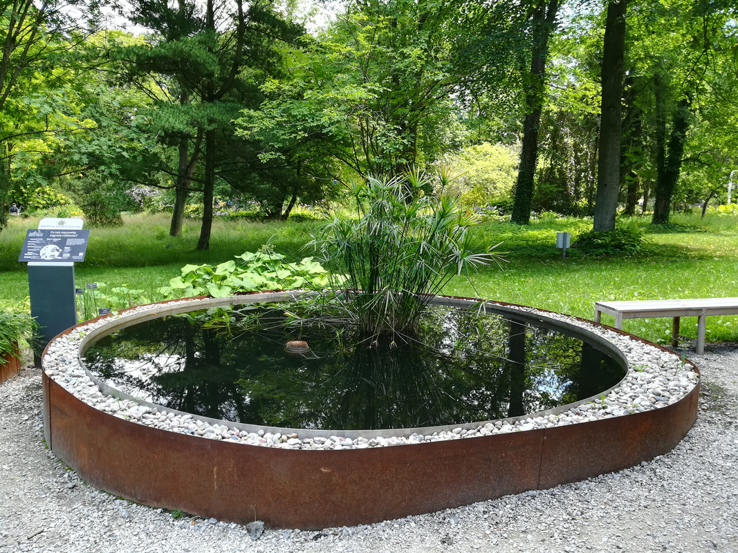 002 - IMG_20190714_130333