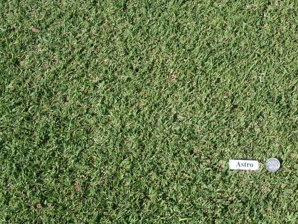 6C67825D-135B-4EAE-B191-C03E9291476A-27721-0000194CE7951B22