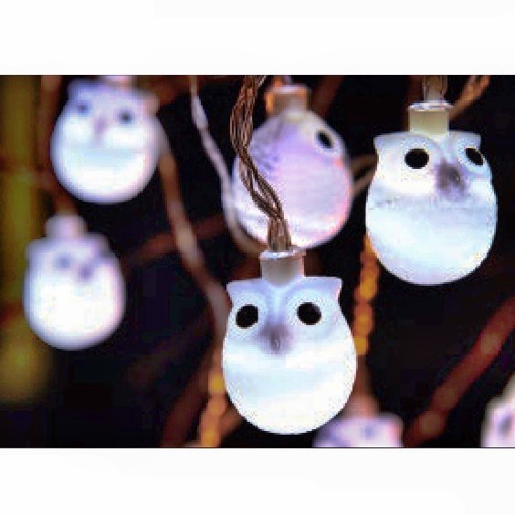 Solar String Light : 60289