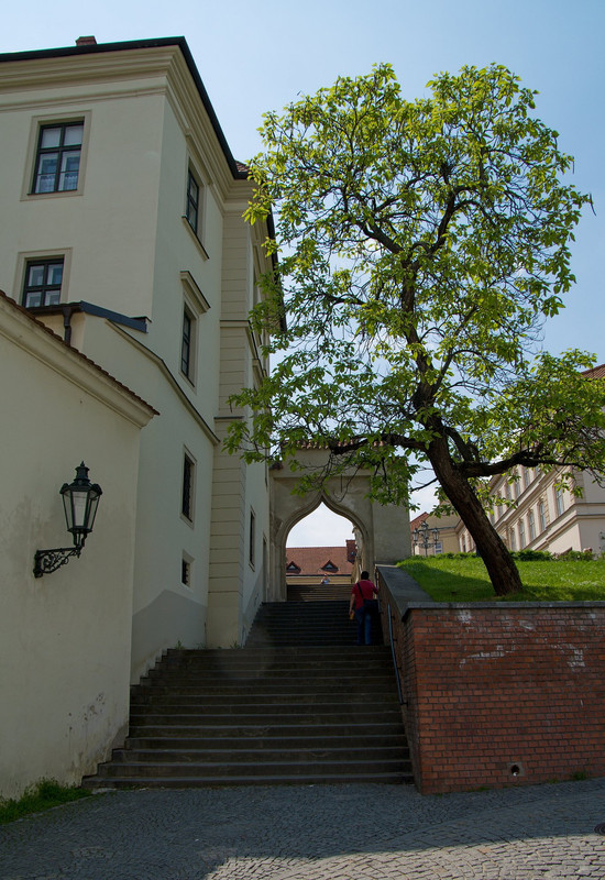 Obrázek