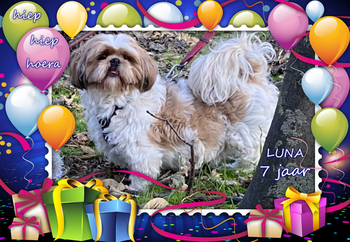Luna (R) 7 jaar