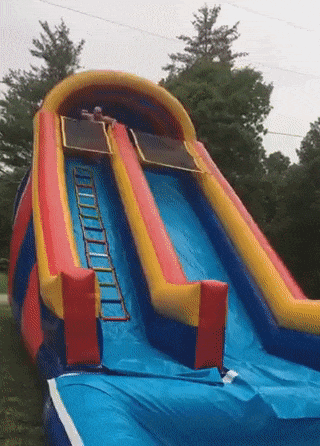 https://i.postimg.cc/Pr7S8Cyy/ezgif-1-41a5d5c521d8.gif