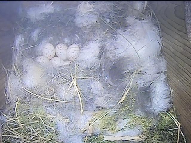 7169B74E-9EA5-4765-B185-ED02A46BD4CA