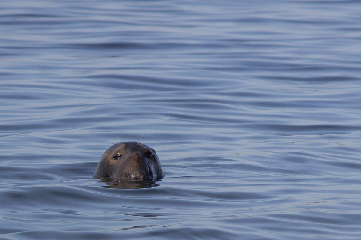 25 SW Provincetown, MA_-4