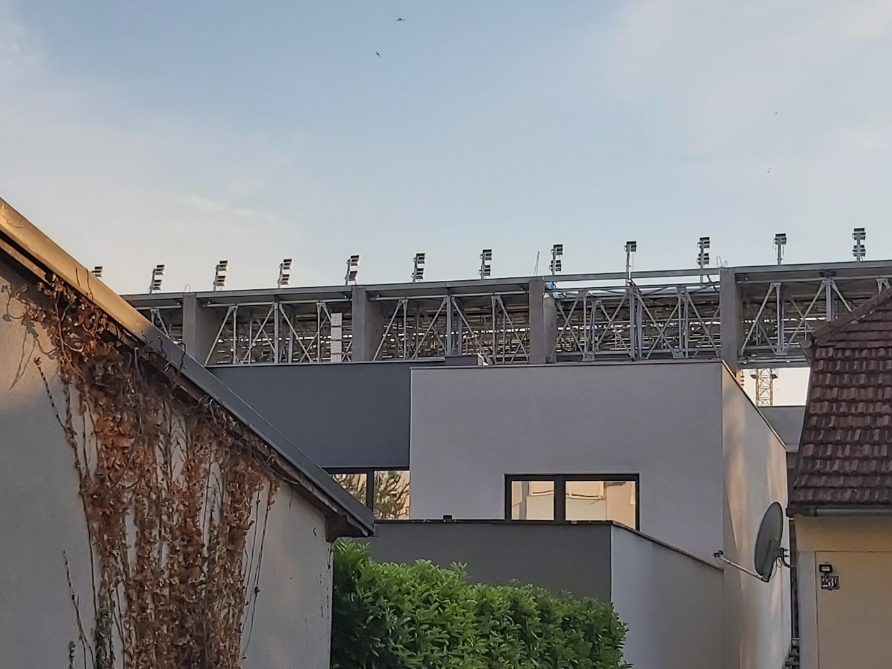 brozova-20260629-05.jpg