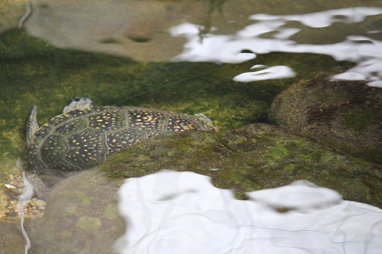 IMG-4739.jpg