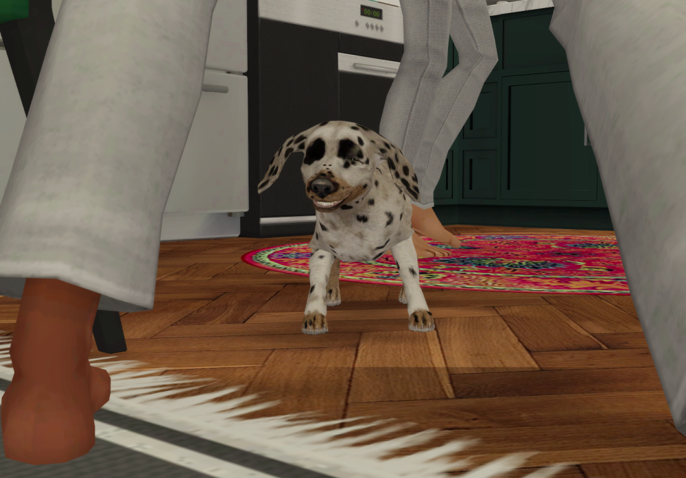 Sims2-EP9-RPC-2021-11-27-19-01-23-35