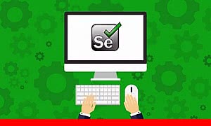 [Image: selenium-webdriver-with-java-basics-to-a...eworks.jpg]