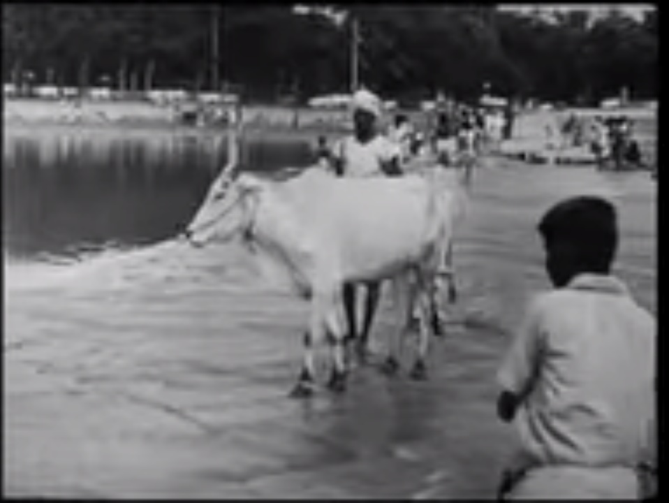 Screenshot-2021-08-18-11-45-52-031-com-a