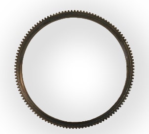 FLY WHEEL RING DOST