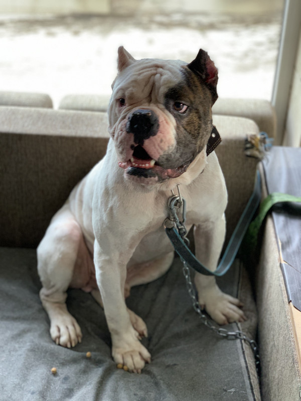 5AED90B1-599B-41ED-BF62-45139F9F6704