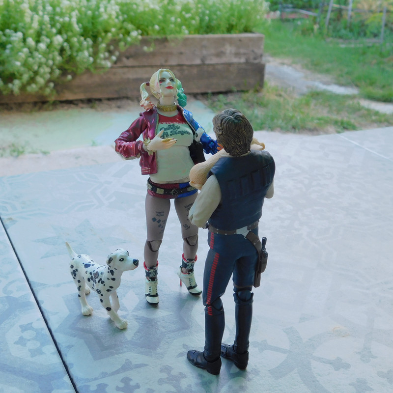 Дачно-Харлинский июнь-июль 2024 297