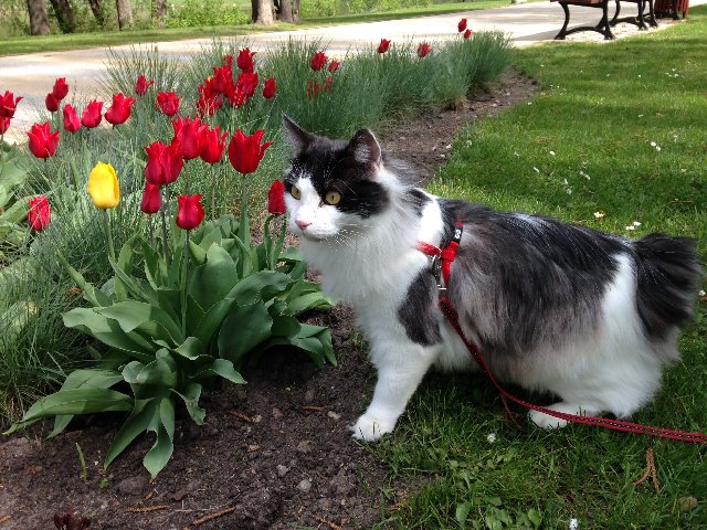 A5-E29820-E01-A-4793-84-F8-989-AC357-DAE