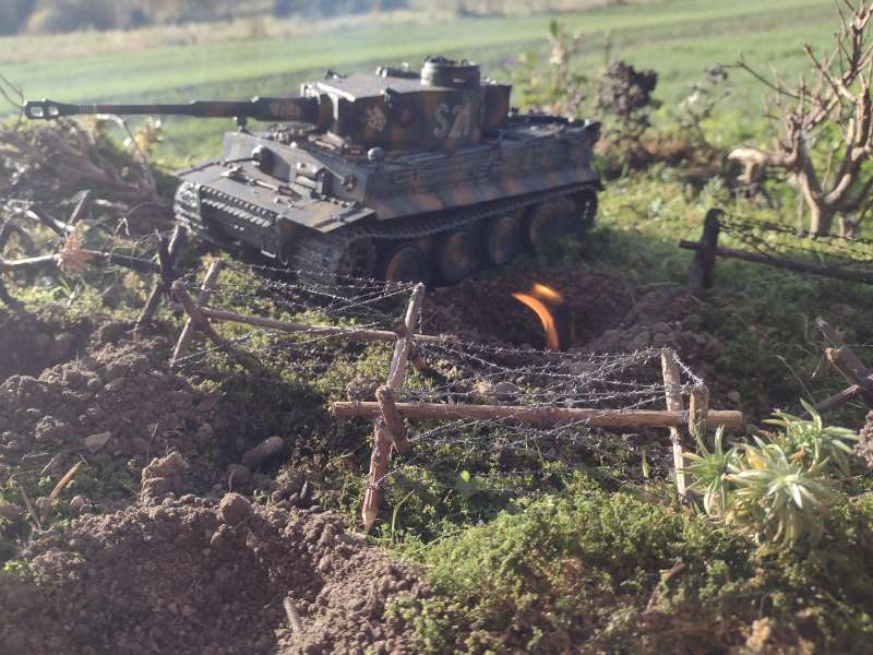 IMG_20241024_153737198