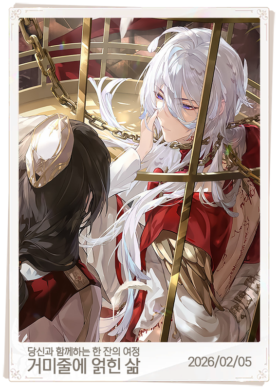 거미줄에 얽힌 삶