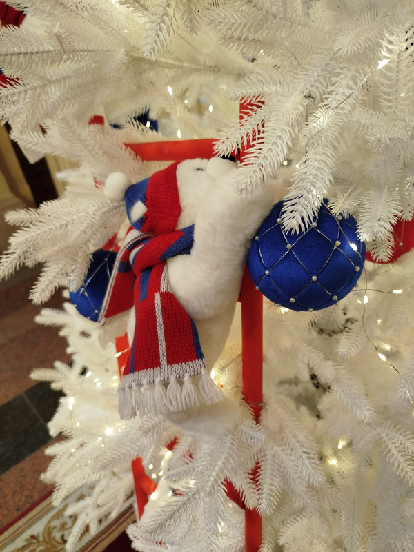 Ладья и Предновогодняя Москва 2025 079