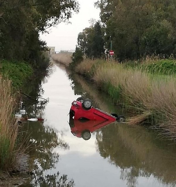 External inline image provided by member with no explanatory text