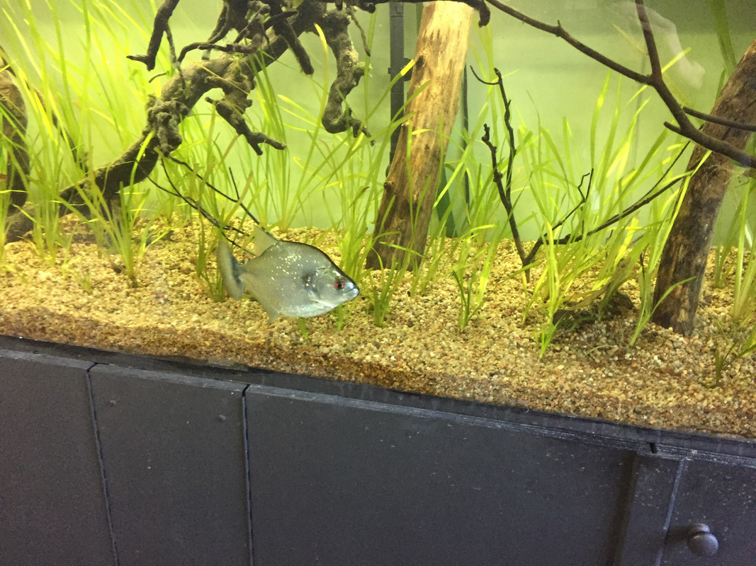 2A40D882-9212-4F53-A1F2-84D227EA2669