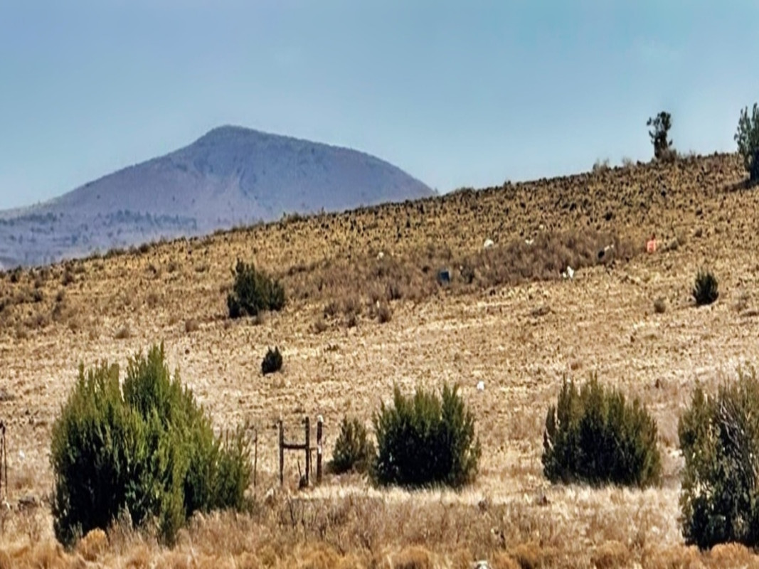 🏞️ Room to Breathe: 1.04 Acres of Freedom in Concho, AZ - Just $349 to Start