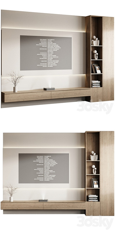 TV Set and Projector 2