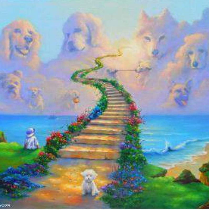 [Image: FB-IMG-1680446329652.jpg]