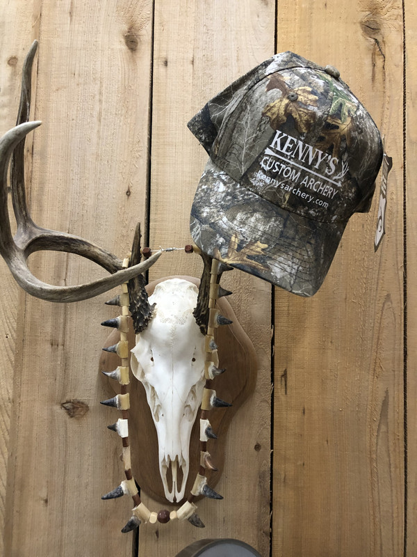 C50951A9-2023-479D-8350-B1FC544044D4